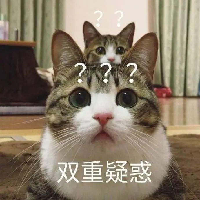 DƬ